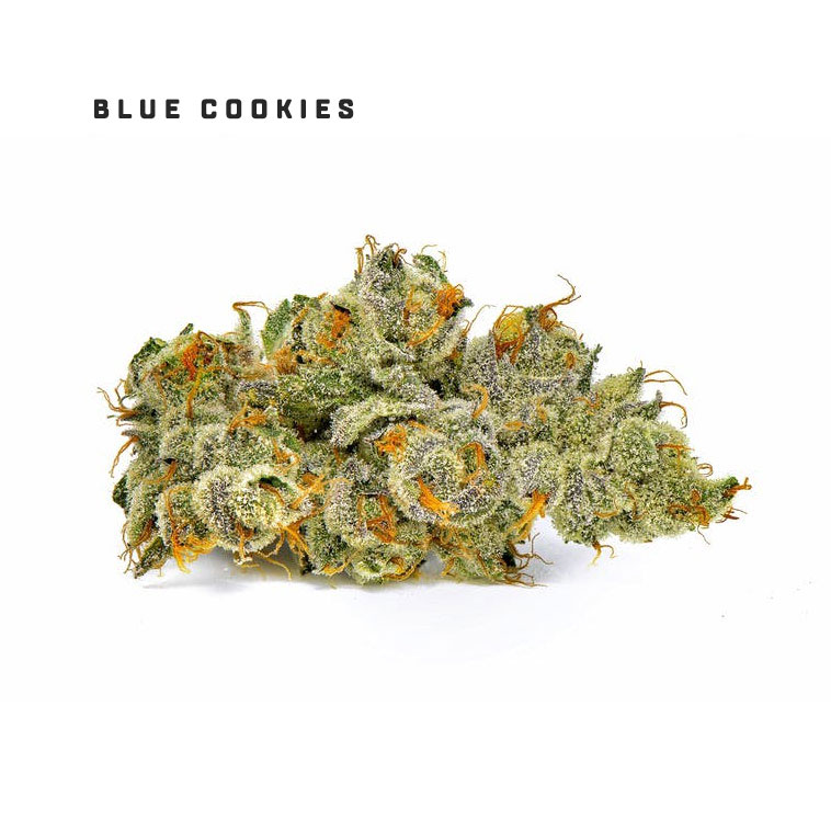 Blue Cookies strain