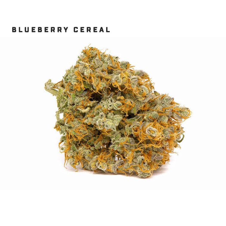 blueberry cereal strain