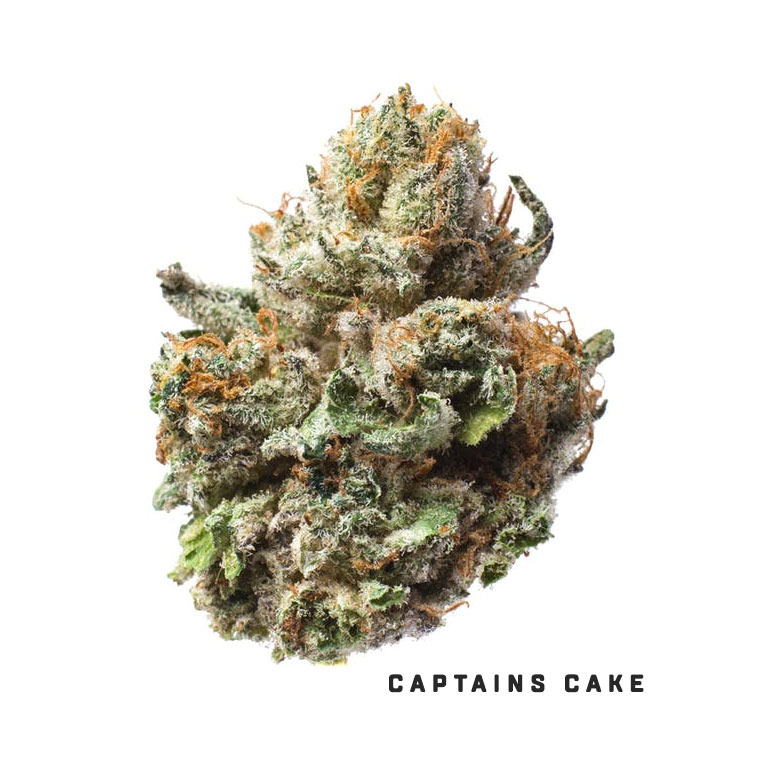 curio captains cake