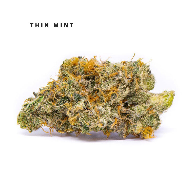 thin mint strain