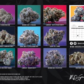 2021 cannabis calendar back