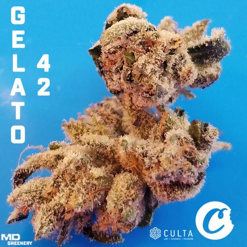 gelato 42