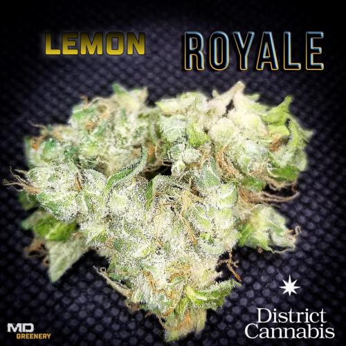 dc-lemon-royale